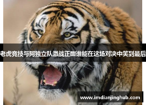 老虎竞技与阿独立队激战正酣谁能在这场对决中笑到最后